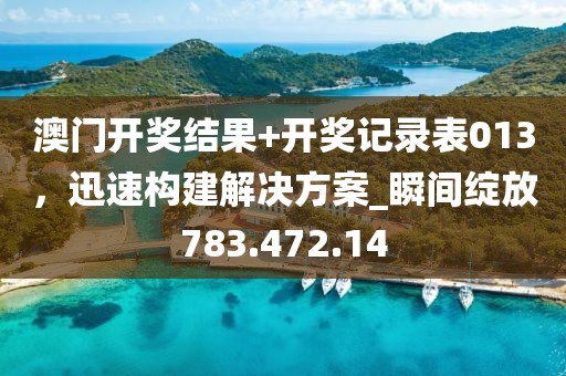澳门开奖结果+开奖记录表013，迅速构建解决方案_瞬间绽放783.472.14