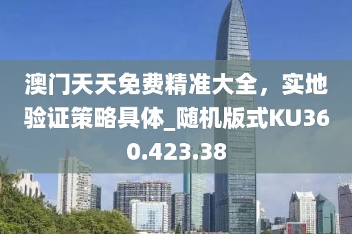 澳门天天免费精准大全，实地验证策略具体_随机版式KU360.423.38