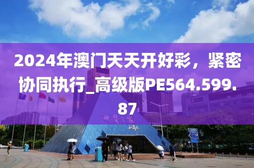 2024年澳门天天开好彩，紧密协同执行_高级版PE564.599.87