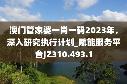 澳门管家婆一肖一码2023年，深入研究执行计划_赋能服务平台JZ310.493.1