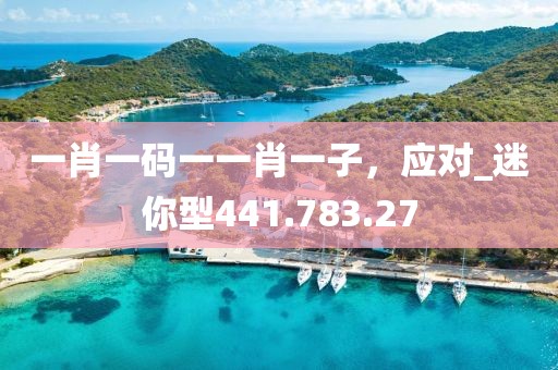 一肖一码一一肖一子，应对_迷你型441.783.27
