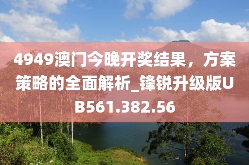 4949澳门今晚开奖结果，方案策略的全面解析_锋锐升级版UB561.382.56
