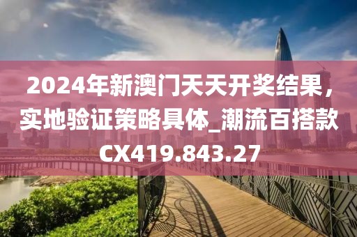 2024年新澳门天天开奖结果，实地验证策略具体_潮流百搭款CX419.843.27