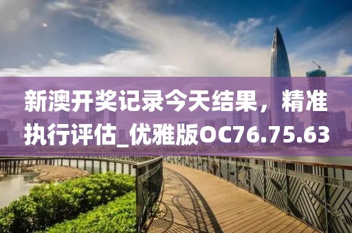 新澳开奖记录今天结果，精准执行评估_优雅版OC76.75.63