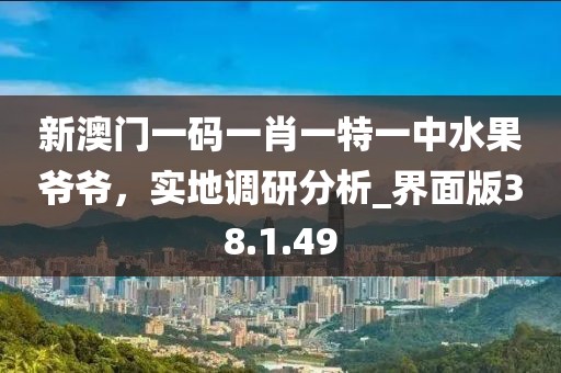 新澳门一码一肖一特一中水果爷爷，实地调研分析_界面版38.1.49