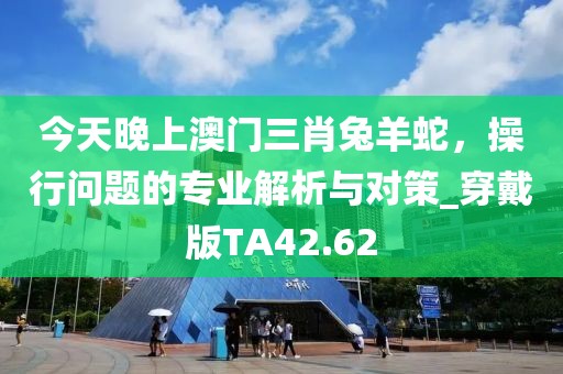 今天晚上澳门三肖兔羊蛇，操行问题的专业解析与对策_穿戴版TA42.62