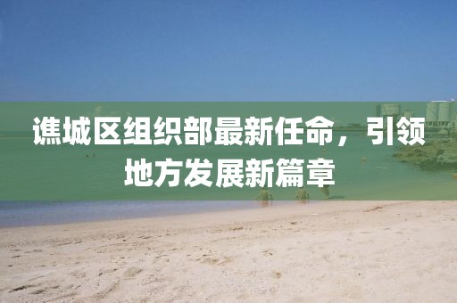 谯城区组织部最新任命，引领地方发展新篇章