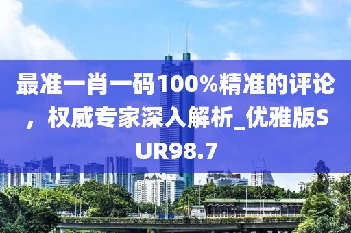 最准一肖一码100%精准的评论，权威专家深入解析_优雅版SUR98.7