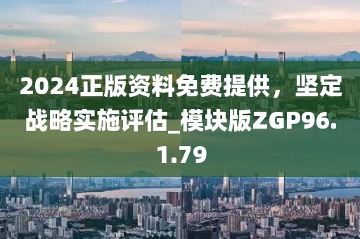 2024正版资料免费提供，坚定战略实施评估_模块版ZGP96.1.79
