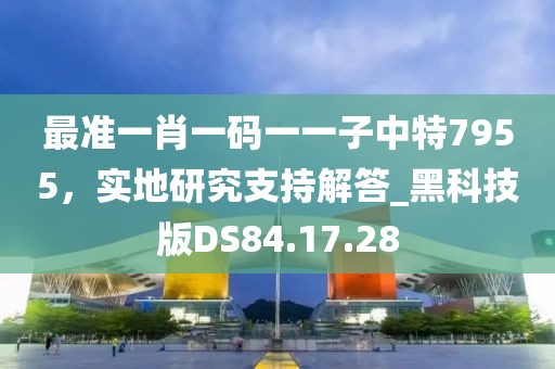 最准一肖一码一一子中特7955，实地研究支持解答_黑科技版DS84.17.28