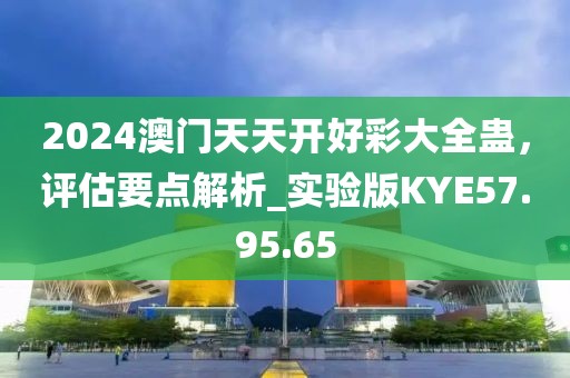 2024澳门天天开好彩大全蛊，评估要点解析_实验版KYE57.95.65