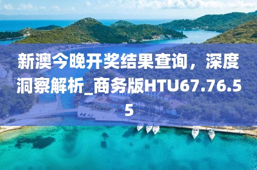 新澳今晚开奖结果查询，深度洞察解析_商务版HTU67.76.55