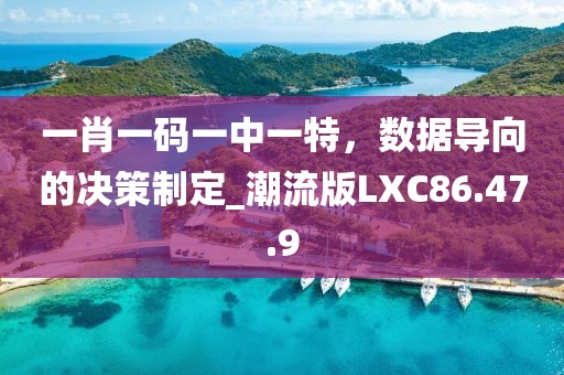 一肖一码一中一特，数据导向的决策制定_潮流版LXC86.47.9