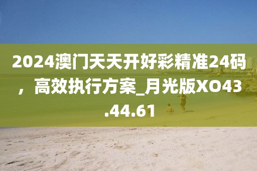 2024澳门天天开好彩精准24码，高效执行方案_月光版XO43.44.61