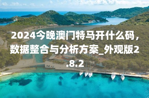 2024今晚澳门特马开什么码，数据整合与分析方案_外观版2.8.2