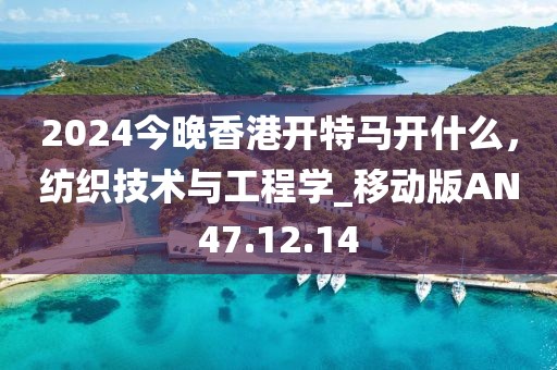 2024年12月 第516页