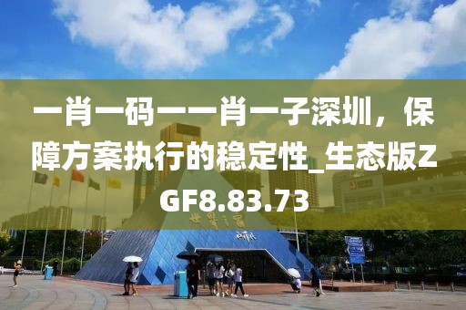 一肖一码一一肖一子深圳，保障方案执行的稳定性_生态版ZGF8.83.73