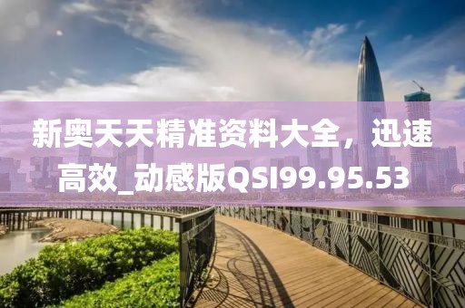 新奥天天精准资料大全，迅速高效_动感版QSI99.95.53