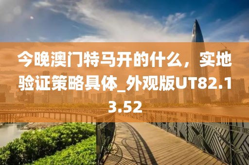 今晚澳门特马开的什么，实地验证策略具体_外观版UT82.13.52