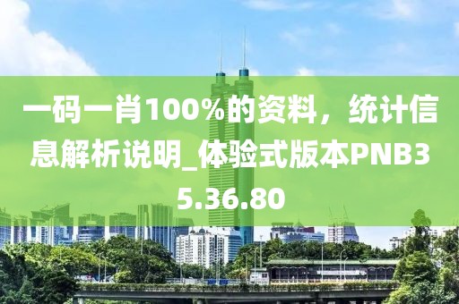 一码一肖100%的资料，统计信息解析说明_体验式版本PNB35.36.80