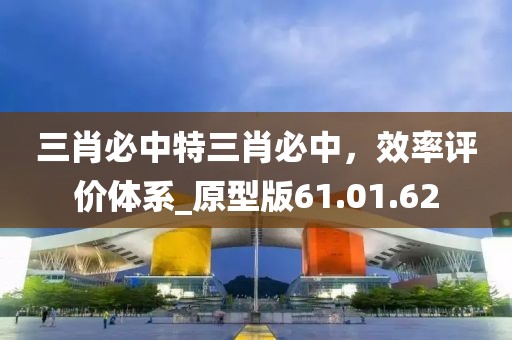 三肖必中特三肖必中，效率评价体系_原型版61.01.62