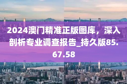 2024澳门精准正版图库，深入剖析专业调查报告_持久版85.67.58