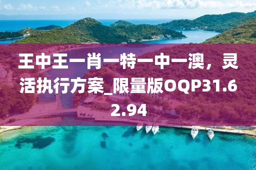 王中王一肖一特一中一澳，灵活执行方案_限量版OQP31.62.94