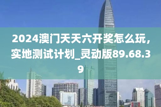 2024澳门天天六开奖怎么玩，实地测试计划_灵动版89.68.39