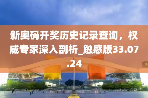 新奥码开奖历史记录查询，权威专家深入剖析_触感版33.07.24