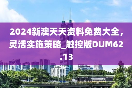 2024新澳天天资料免费大全，灵活实施策略_触控版DUM62.13