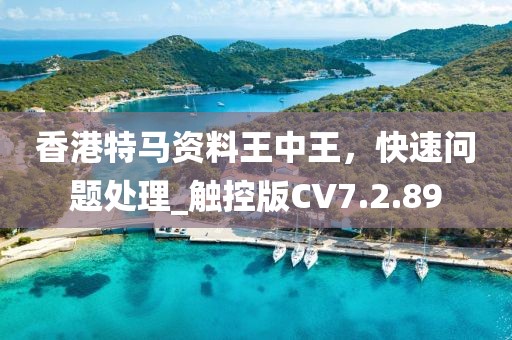 香港特马资料王中王，快速问题处理_触控版CV7.2.89