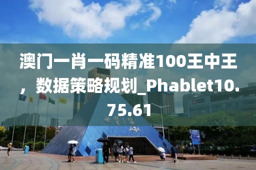 澳门一肖一码精准100王中王，数据策略规划_Phablet10.75.61