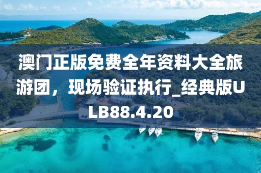 澳门正版免费全年资料大全旅游团，现场验证执行_经典版ULB88.4.20