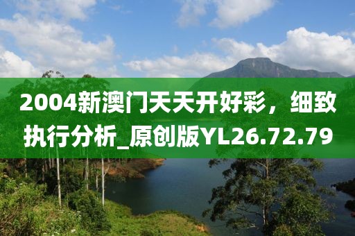 2004新澳门天天开好彩，细致执行分析_原创版YL26.72.79