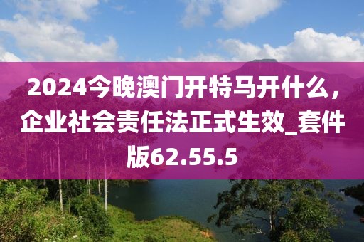 2024今晚澳门开特马开什么，企业社会责任法正式生效_套件版62.55.5