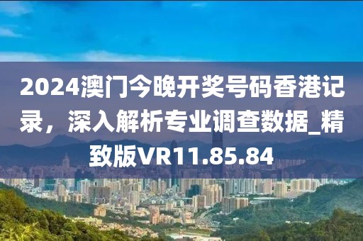 2024澳门今晚开奖号码香港记录，深入解析专业调查数据_精致版VR11.85.84