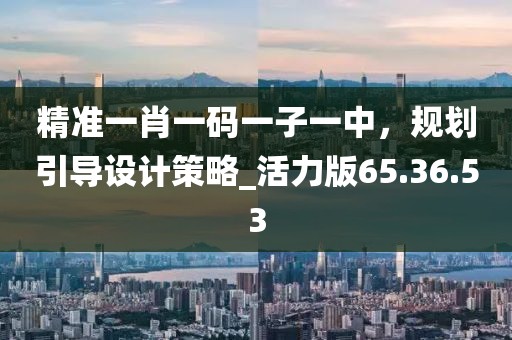 精准一肖一码一子一中，规划引导设计策略_活力版65.36.53