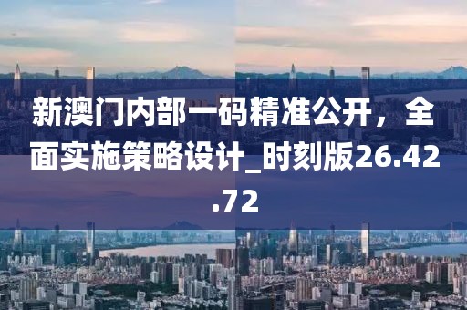 新澳门内部一码精准公开，全面实施策略设计_时刻版26.42.72
