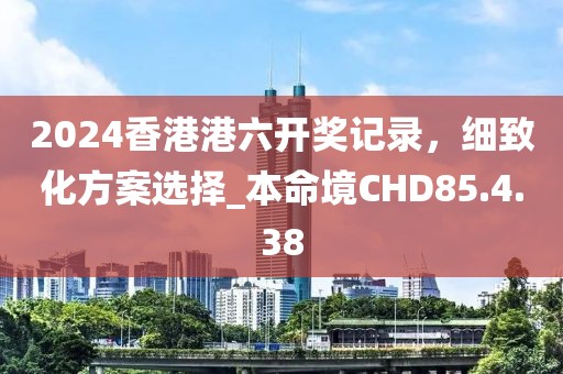 2024香港港六开奖记录，细致化方案选择_本命境CHD85.4.38