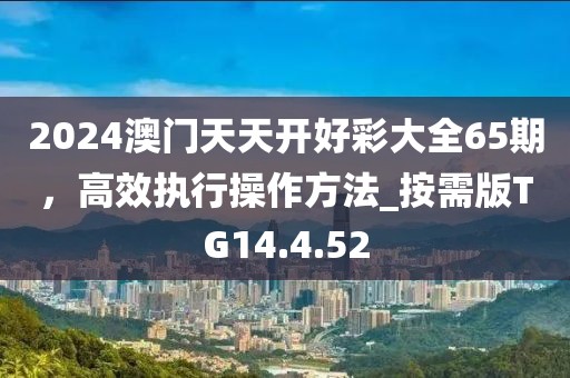 2024澳门天天开好彩大全65期，高效执行操作方法_按需版TG14.4.52