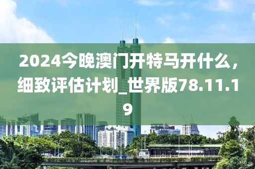 2024今晚澳门开特马开什么，细致评估计划_世界版78.11.19