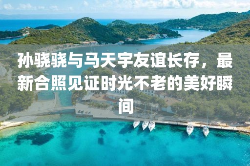 孙骁骁与马天宇友谊长存，最新合照见证时光不老的美好瞬间