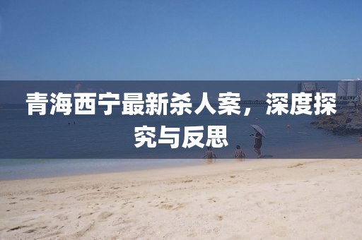青海西宁最新杀人案，深度探究与反思
