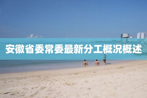 安徽省委常委最新分工概况概述