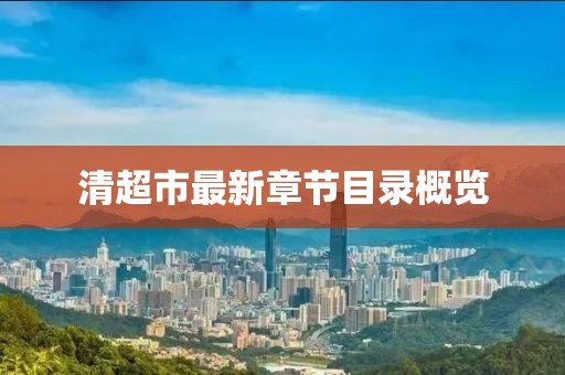 清超市最新章节目录概览