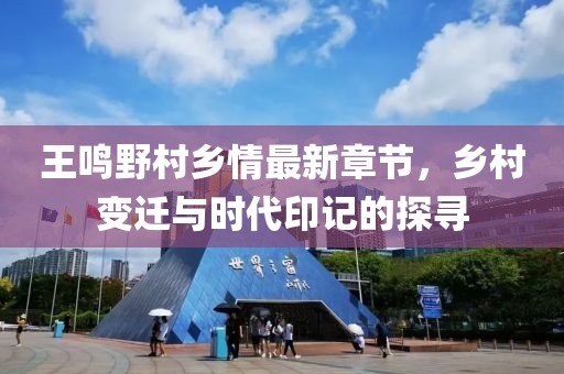 王鸣野村乡情最新章节，乡村变迁与时代印记的探寻