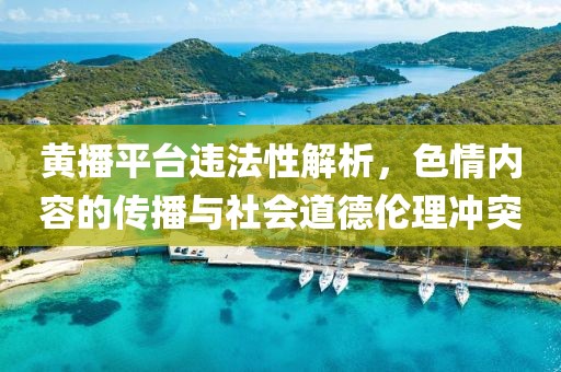 黄播平台违法性解析，色情内容的传播与社会道德伦理冲突