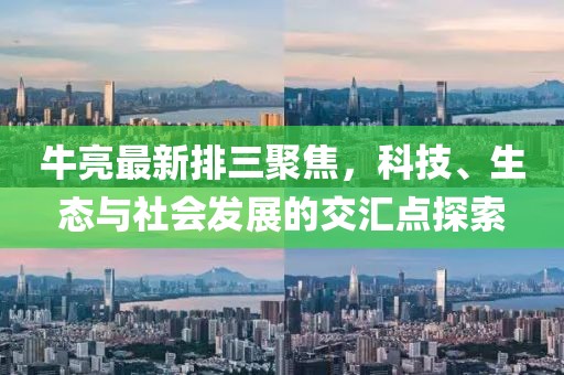 牛亮最新排三聚焦，科技、生态与社会发展的交汇点探索