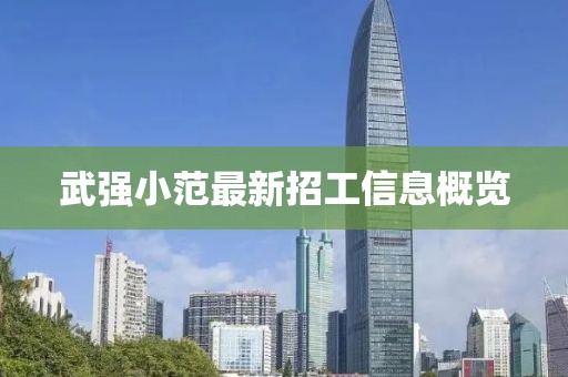 2024年12月 第384页