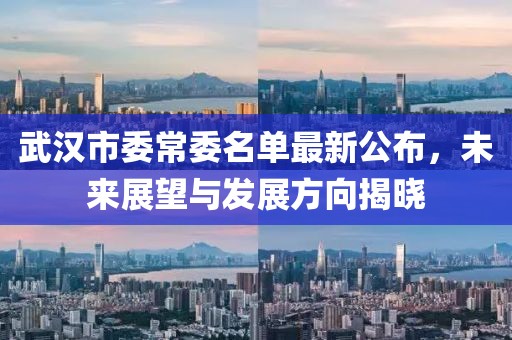 武汉市委常委名单最新公布，未来展望与发展方向揭晓
